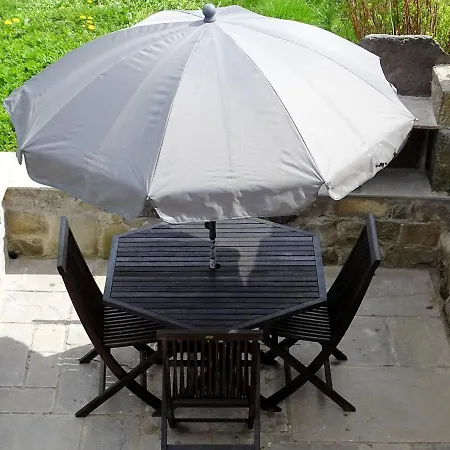 Snowdrop * Thornton Steward