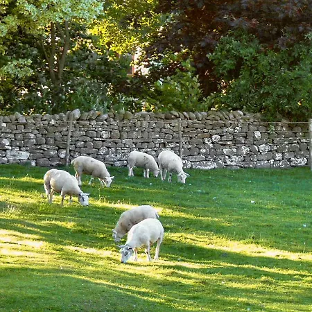 Nyaraló Snowdrop Thornton Steward