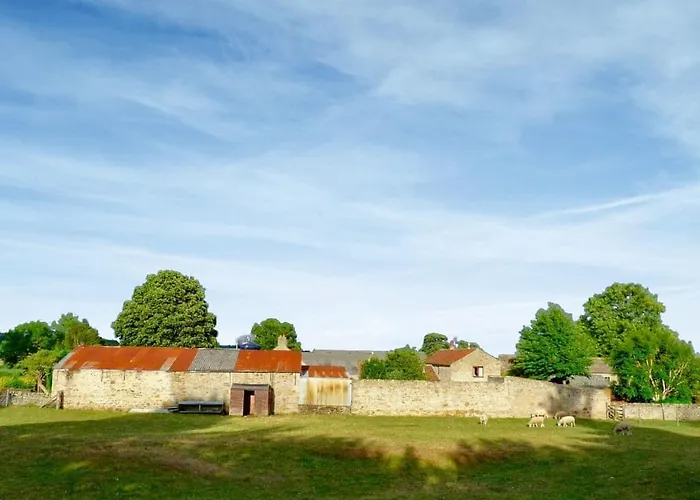 Nyaraló Snowdrop Thornton Steward