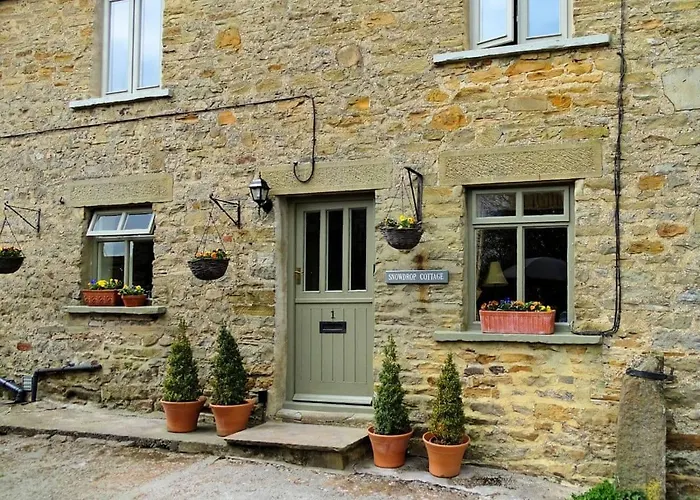 Snowdrop Thornton Steward