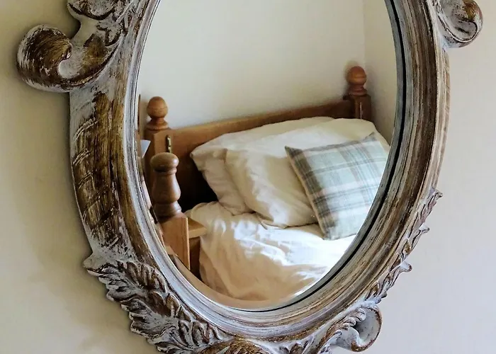 Snowdrop * Thornton Steward