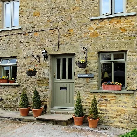 Snowdrop Thornton Steward