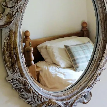 Snowdrop * Thornton Steward