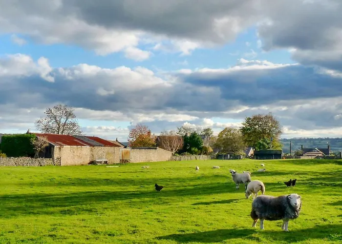 Snowdrop Ferienhaus *