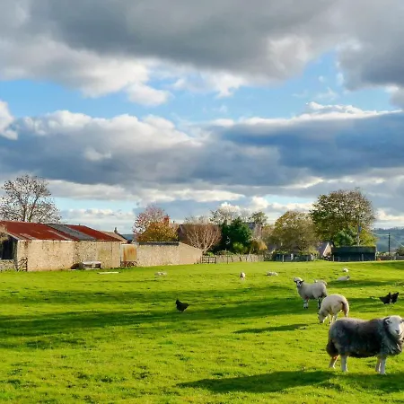 Snowdrop Holiday home *